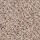 Horizon Carpet: Earthly Details I Magnolia Blossom